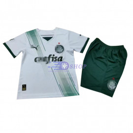 t-shirt camiseta palmeiras ♡ (png) em 2023  Camisetas do palmeiras, Camisa  da frança, Camiseta